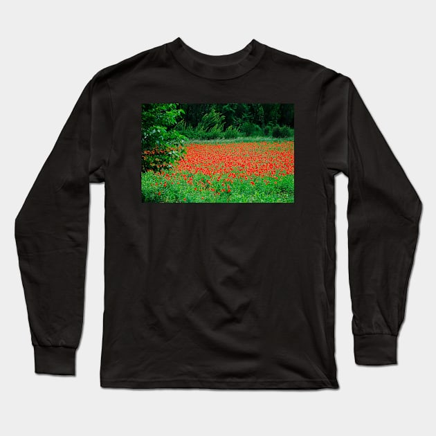 Poppy Field Long Sleeve T-Shirt by jojobob